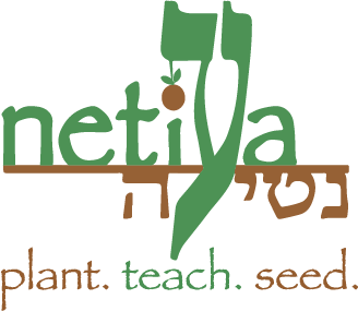 netiya netiya