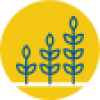 nextstagegrants nextstagegrants